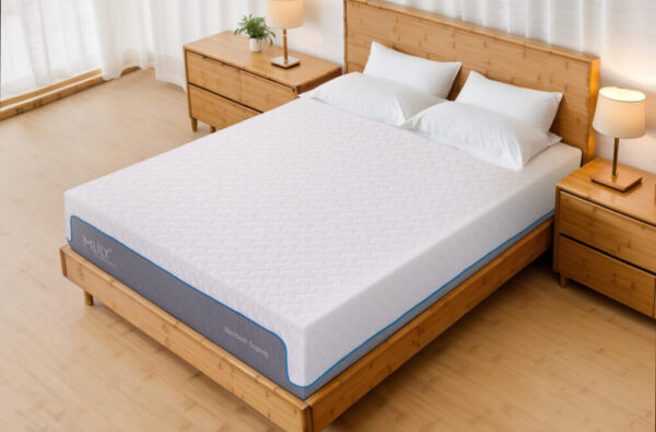 Mlily Bamboo+ Superb Memory 2500 Pocket Mattress